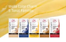 Wella Color Charm Shade Palette Ash